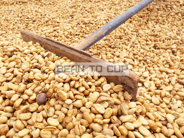 cafea Etiopia